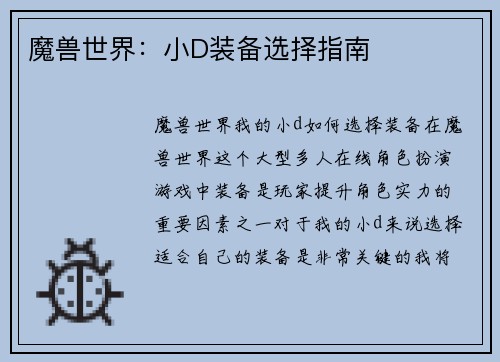 魔兽世界：小D装备选择指南